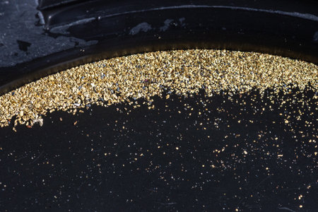 Closeup view of gold flakes collected in a black panning pan. Shiny metallic particles representing mining, prospecting, natural resources, and the search for wealth and treasure.の写真素材