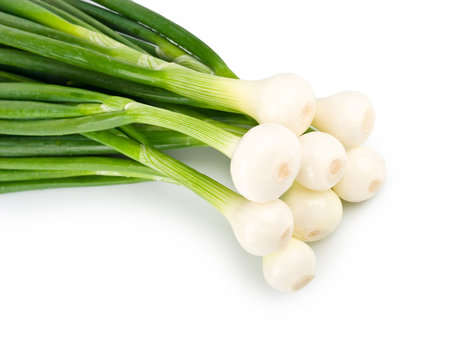 Eight ripe beautiful spring onions closeup isolated on a white backgroundの写真素材