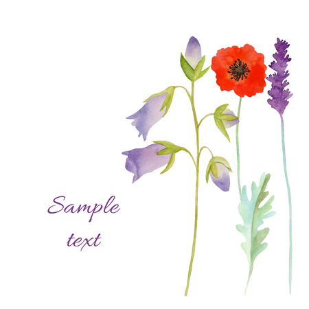 Watercolor flowers card.Illustration, invitation card for wedding,birthday and summer background.のイラスト素材