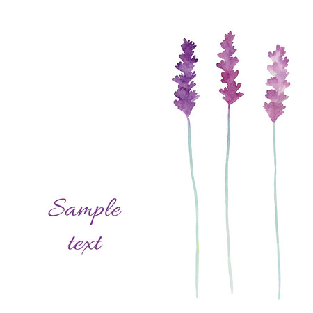 Watercolor flowers card.Illustration, invitation card for wedding,birthday and summer background.のイラスト素材