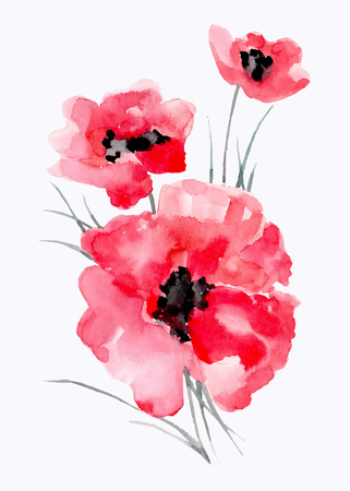 Watercolor illustration of ared flower on a white background. Background for your design and decor.のイラスト素材