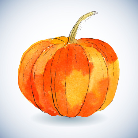 Watercolor pumpkin on white background. Illustration for greeting cards, invitations, and other printing projects.のイラスト素材