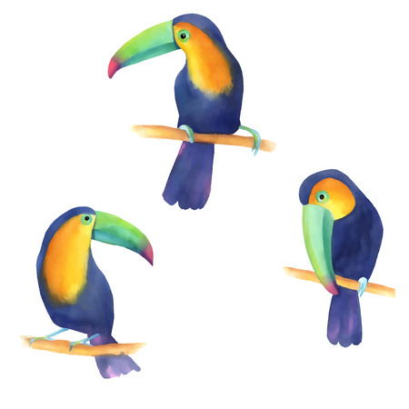 Watercolor illustration of a cute toucans sitting on a branch with leavesのイラスト素材