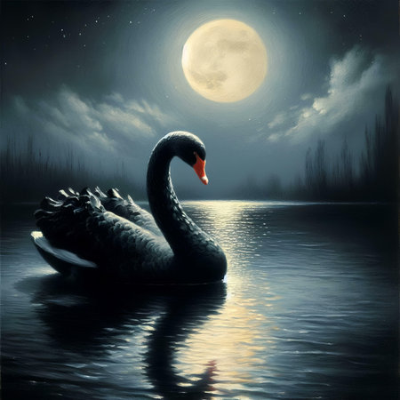 Black swan swimming on the lake in the moonlight. Vector illustration.の素材