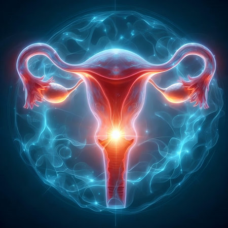 Digital illustration of female reproductive system in colored background. Conceptual imageの素材