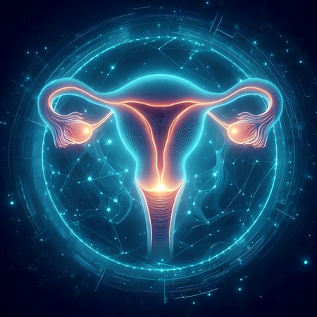 Uterus and ovaries in digital cyberspace. 3d illustrationの素材