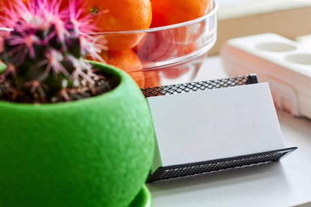 business card, cactus, bowl with mandarinsの写真素材