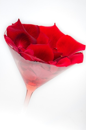 Petals of rosesの写真素材