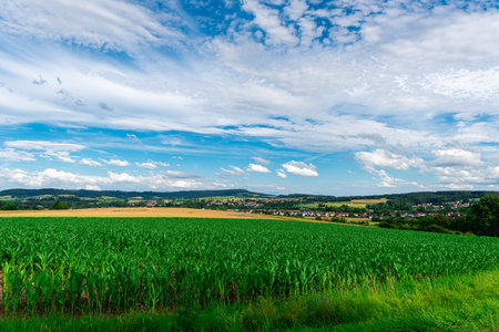 Nature, fields, forests in Germany, Bavaria Kupsの写真素材