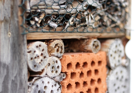 insecthotelの写真素材