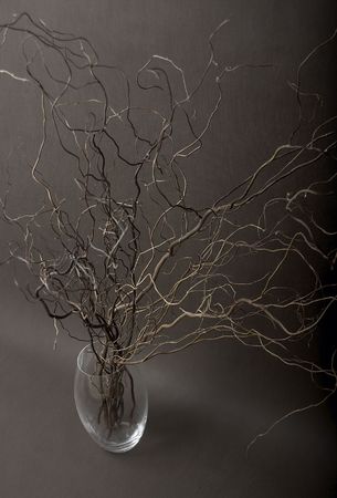 twigs in vaseの写真素材