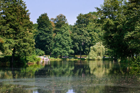 Lake reflectionの写真素材