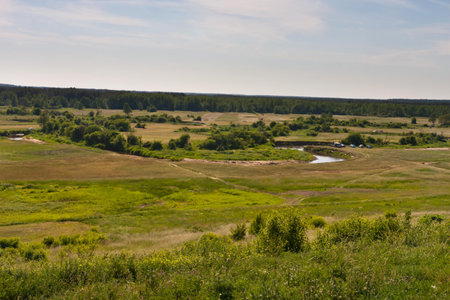 Polish Fields