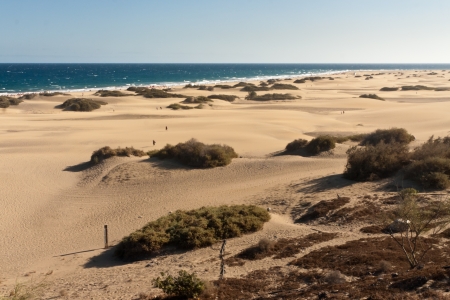 Maspalomas Dunesの写真素材