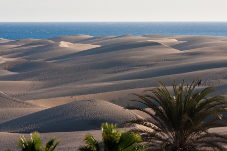 Maspalomas Dunesの写真素材