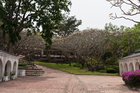 Thailand Templeの写真素材