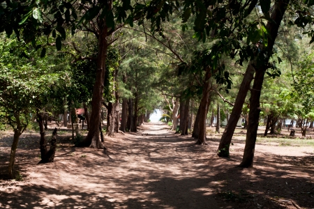 Thailand Mountains National Parkの写真素材