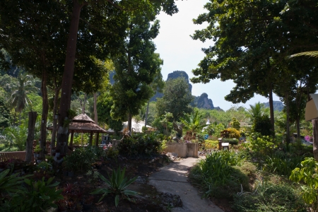 Thailand Beachの写真素材