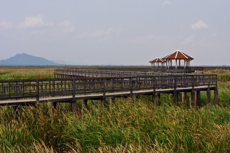 Thailand Mountains National Parkの写真素材