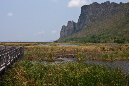Thailand Mountains National Parkの写真素材