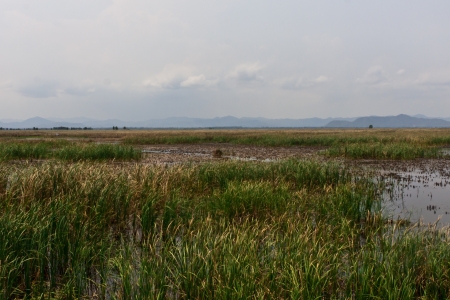 Thailand Mountains National Parkの写真素材