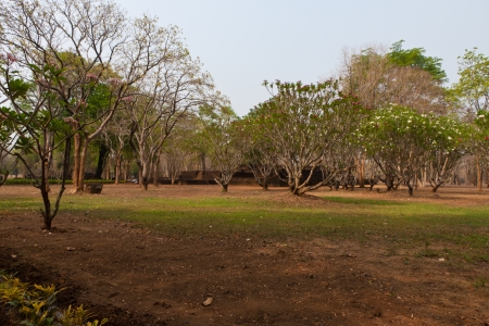 Thailand Templeの写真素材