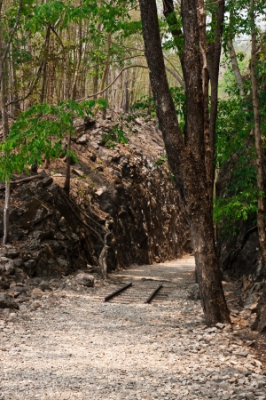 Thailand Memorial Cemeteryの写真素材