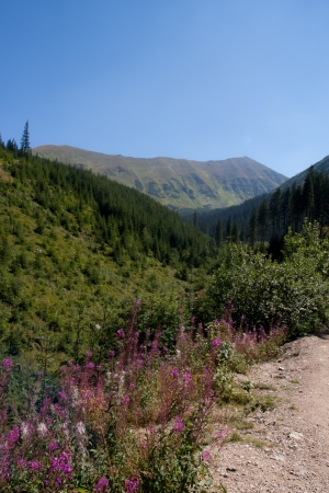 Polish Tatra Mountainsの写真素材