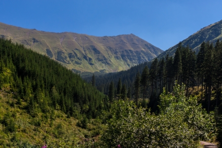 Polish Tatra Mountainsの写真素材