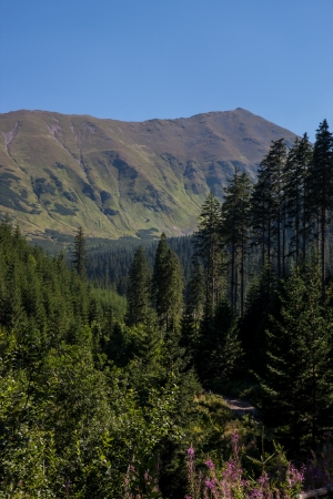 Polish Tatra Mountainsの写真素材