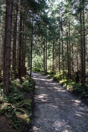 Tatry Mountainsの写真素材