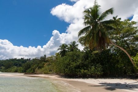Seychelles Beachの写真素材