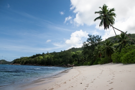 Seychelles BeachSの写真素材