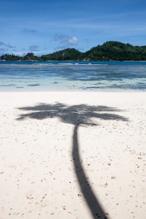 Seychelles Baie Lazareの写真素材