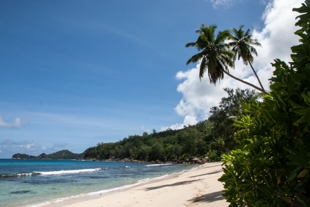 Seychelles Beachの写真素材