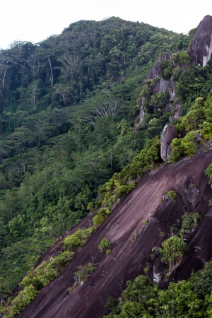 Seychelles Mountains Viewの写真素材