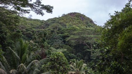 Seychelles Mountainsの写真素材