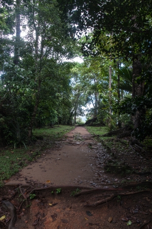 Mission Lodge Lookout on Maheの写真素材