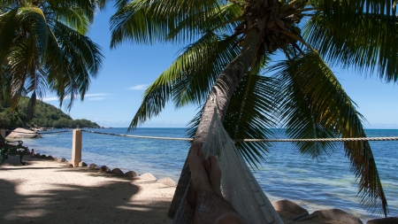 Seychelles Beachの写真素材
