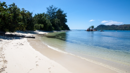 Seychelles Beachの写真素材