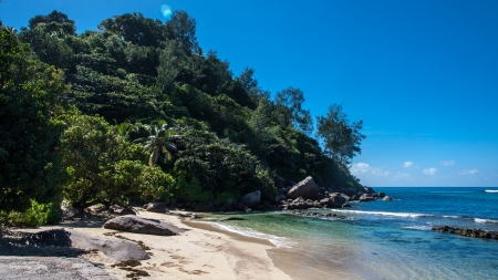 Seychelles Beachの写真素材