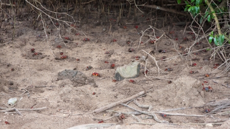 Seychelles Nature Reserve Unescoの写真素材