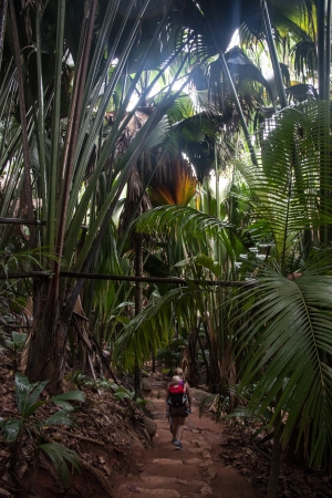 Seychelles Nature Reserve Unescoの写真素材