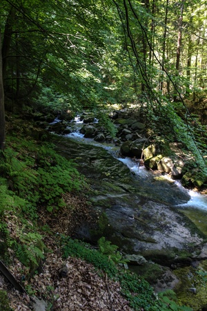 Szklarki Waterfall in Karkonosze Mountains in Polandの写真素材