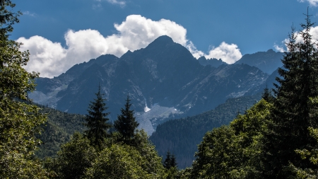 Javorova Valley in Tatry Mountains in Slovakiaの写真素材