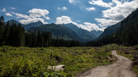 Javorova Valley in Tatry Mountains in Slovakiaの写真素材