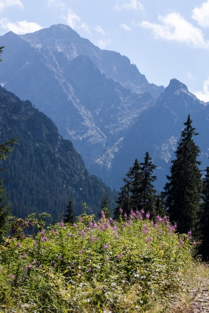 Javorova Valley in Tatry Mountains in Slovakiaの写真素材