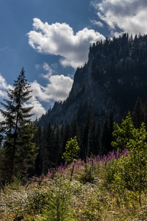 Javorova Valley in Tatry Mountains in Slovakiaの写真素材