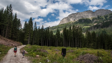 Javorova Valley in Tatry Mountains in Slovakiaの写真素材