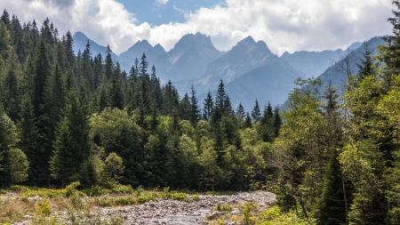 Bielovodska Valley in Tatry Mountainsの写真素材